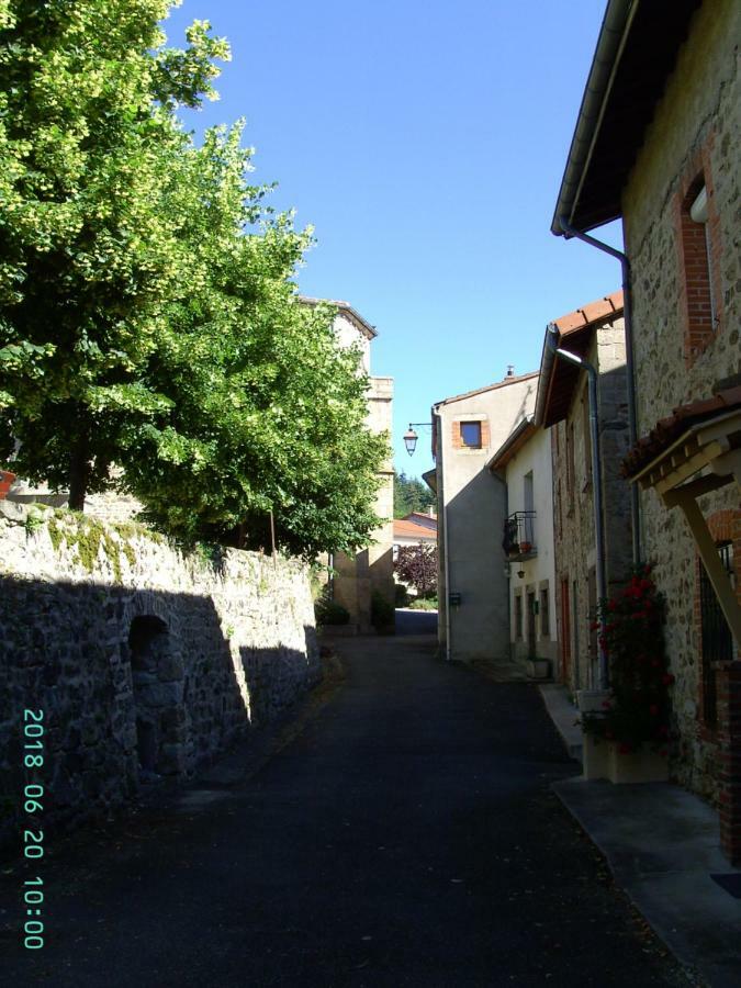 La Fontaine Bed & Breakfast Saint-Georges-en-Couzan Exterior photo